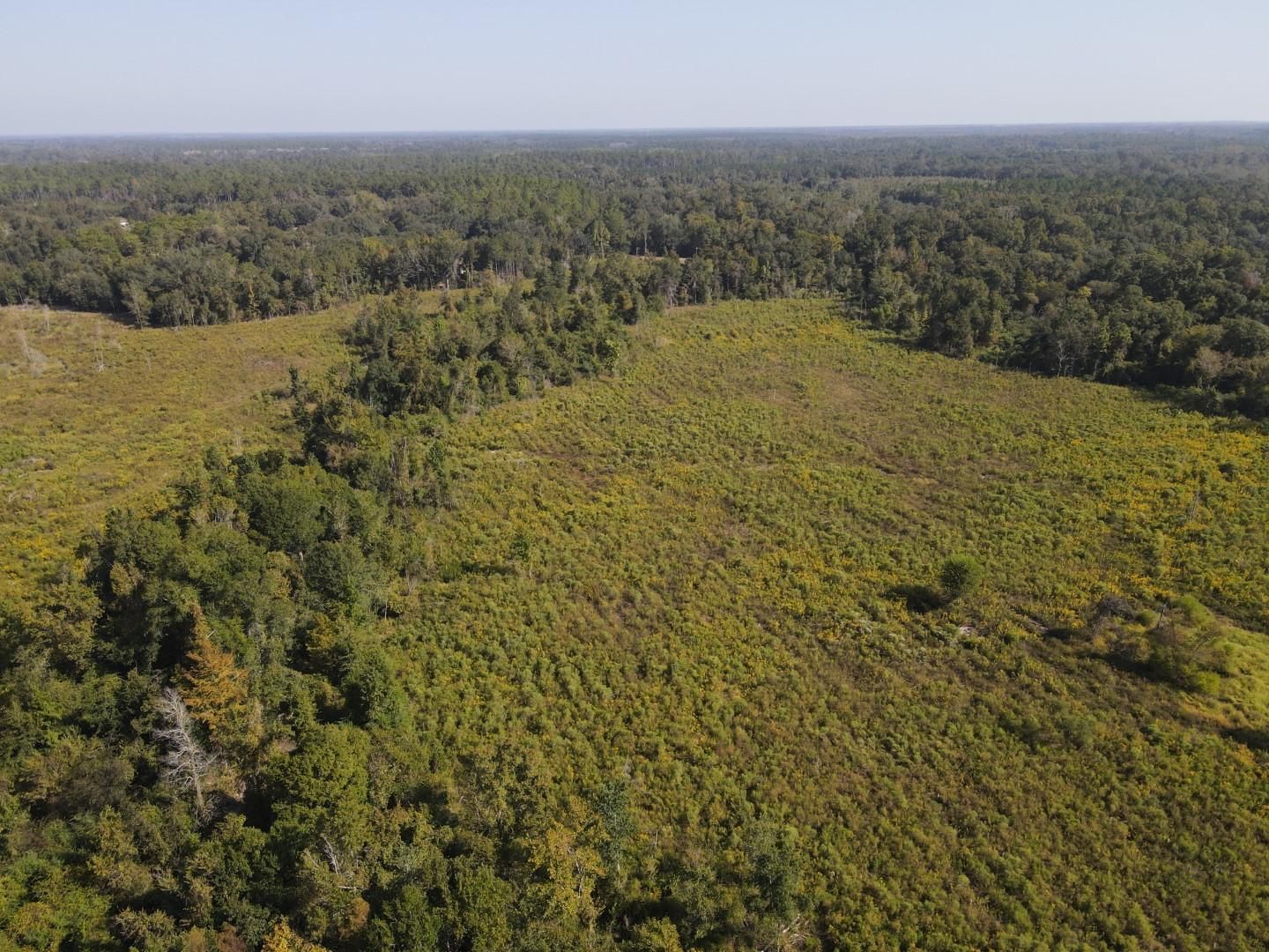 Damascus, Early County, GA Recreational Property, Timberland Property