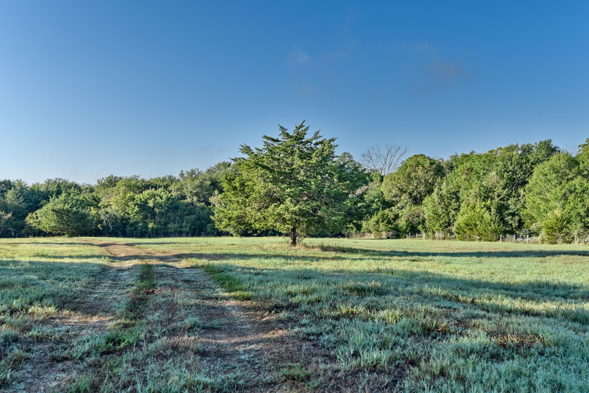 Chappell Hill, Washington County, TX Recreational Property, Undeveloped Land for sale Property