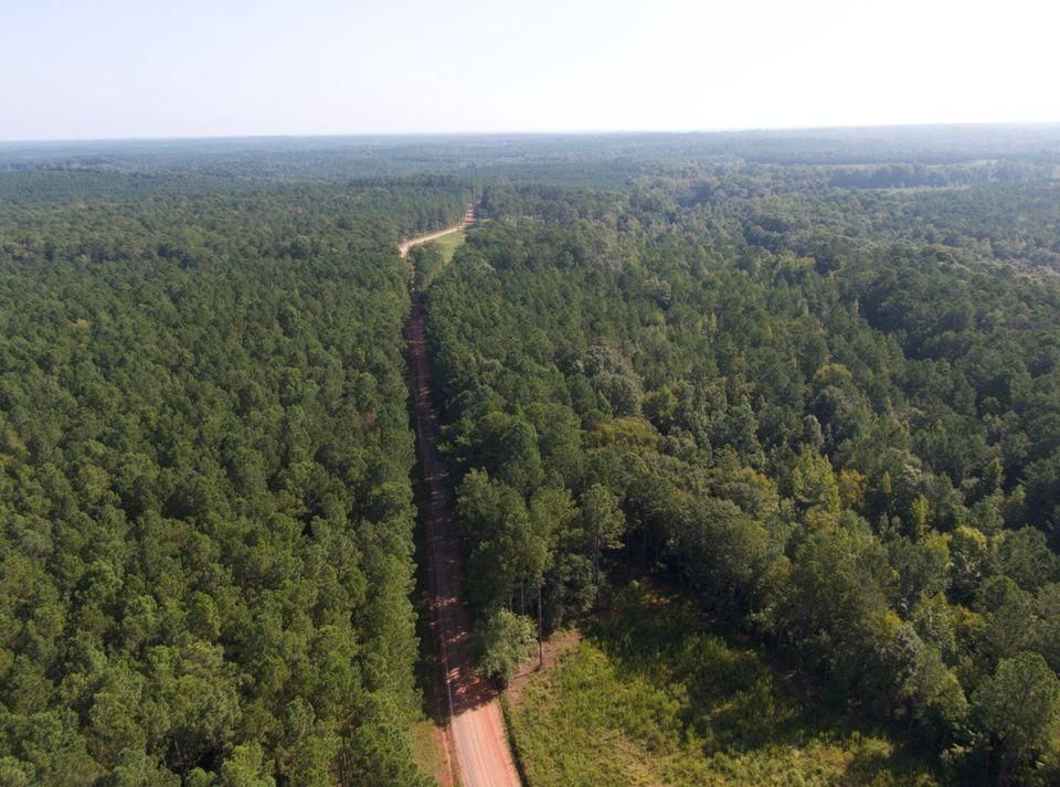 Gray, Jones County, GA Recreational Property, Undeveloped Land