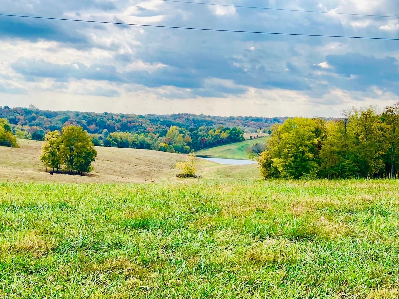 Columbia, Adair County, KY Farms and Ranches, Homesites for sale