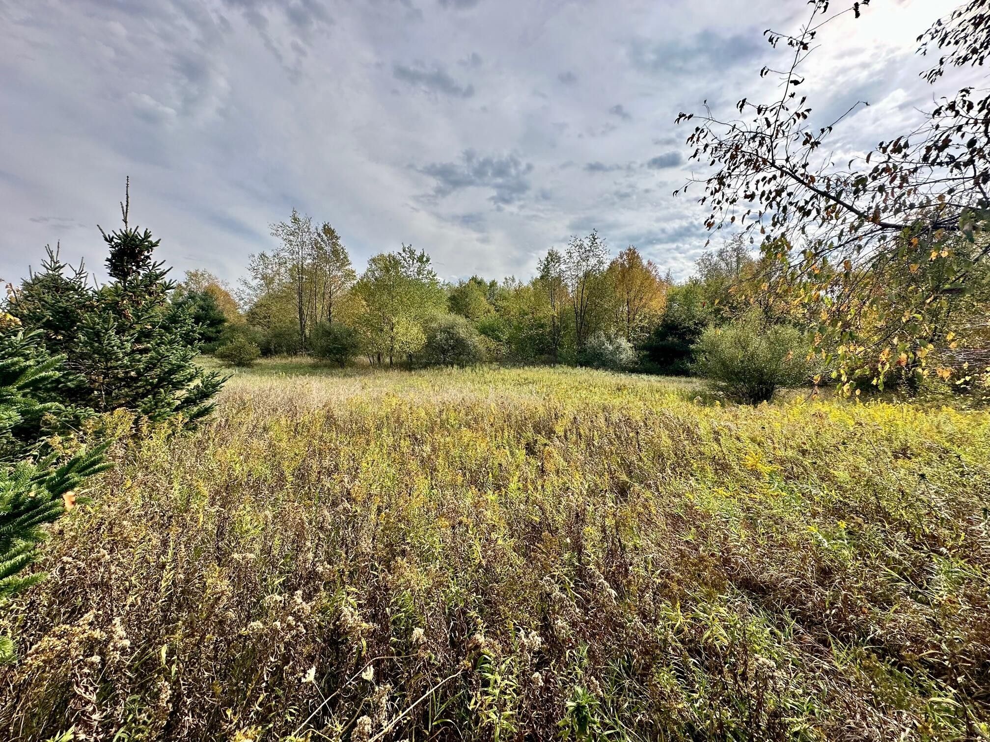 Belding, Ionia County, MI Undeveloped Land, Homesites for sale Property