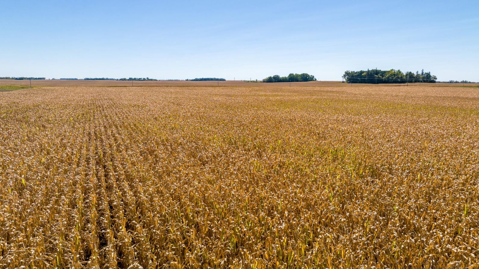 Canby, Yellow Medicine County, MN Farms and Ranches, Undeveloped Land