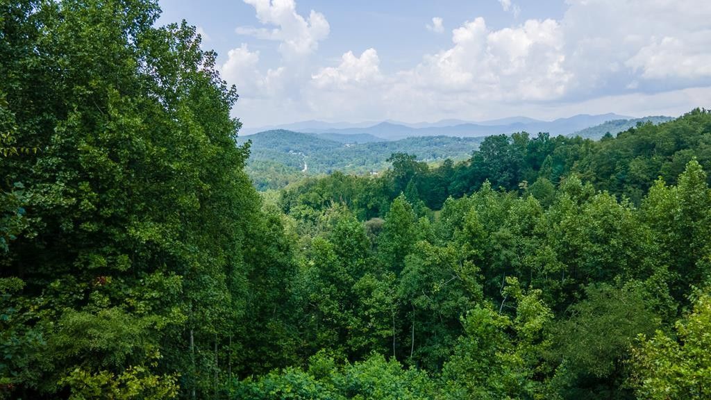 Franklin, Macon County, NC for sale Property ID 417917070 LandWatch