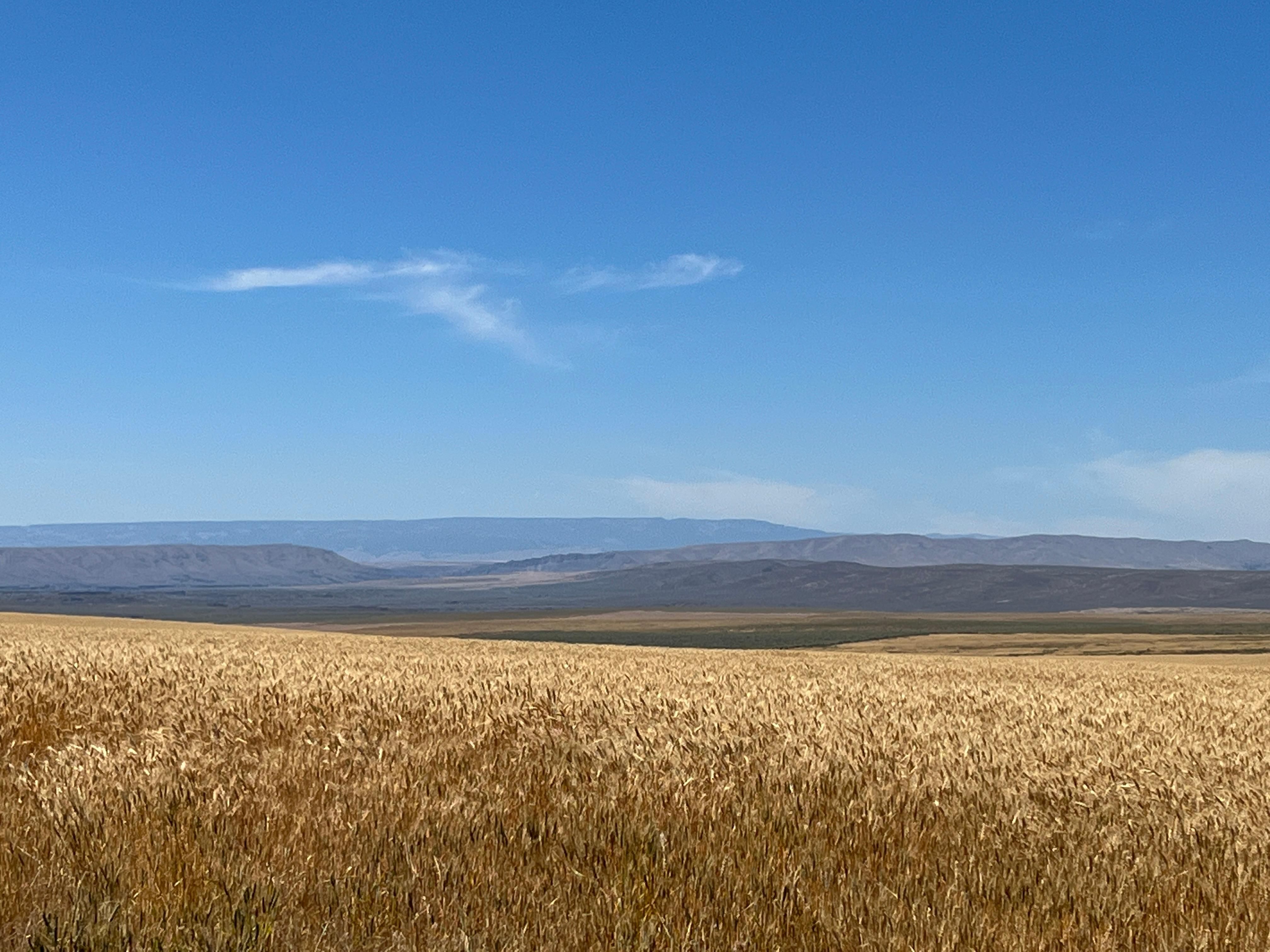 Soap Lake, Douglas County, WA Farms and Ranches, Recreational Property