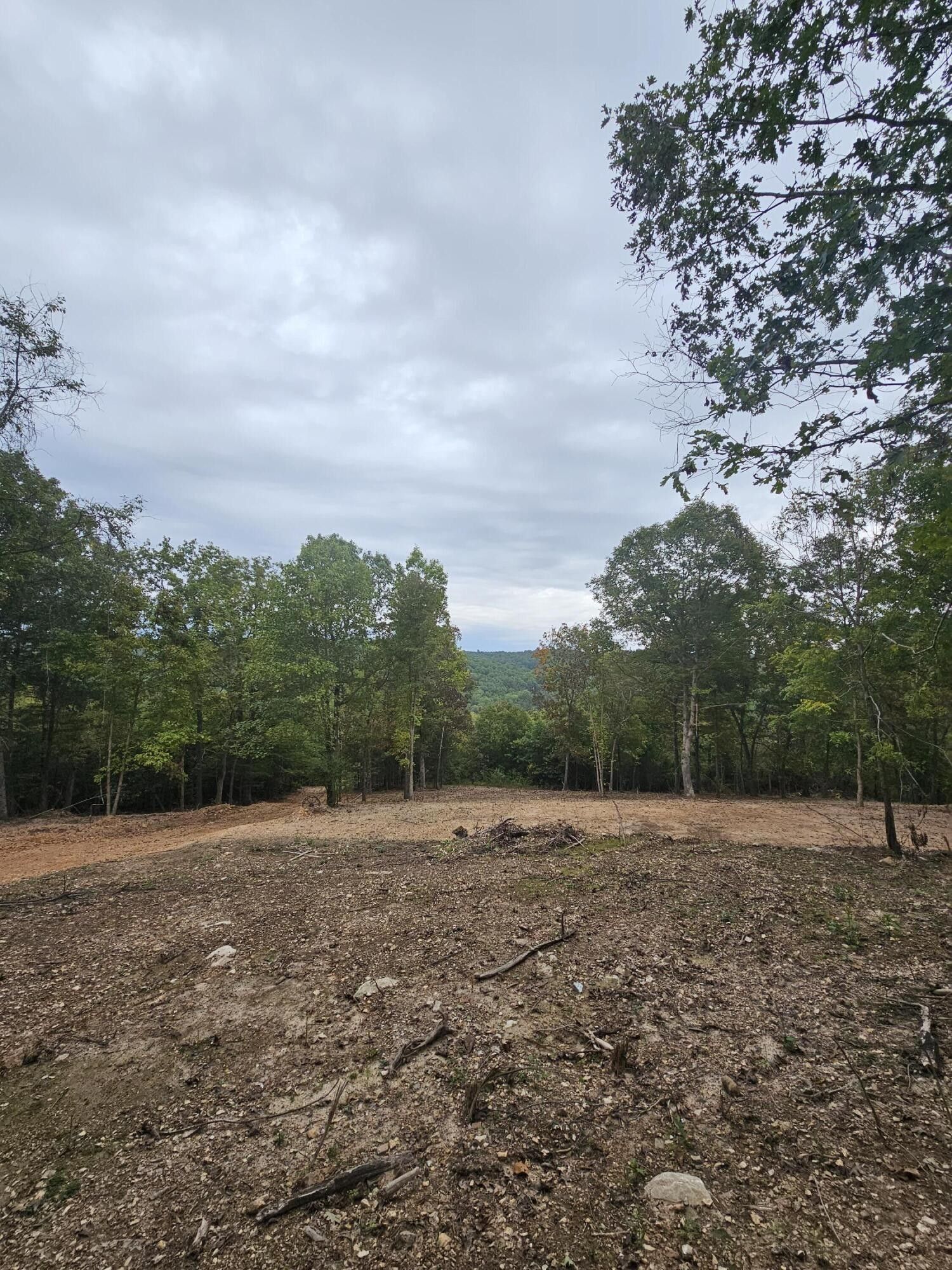 Omaha, Boone County, AR Undeveloped Land for sale Property ID 417917608 LandWatch