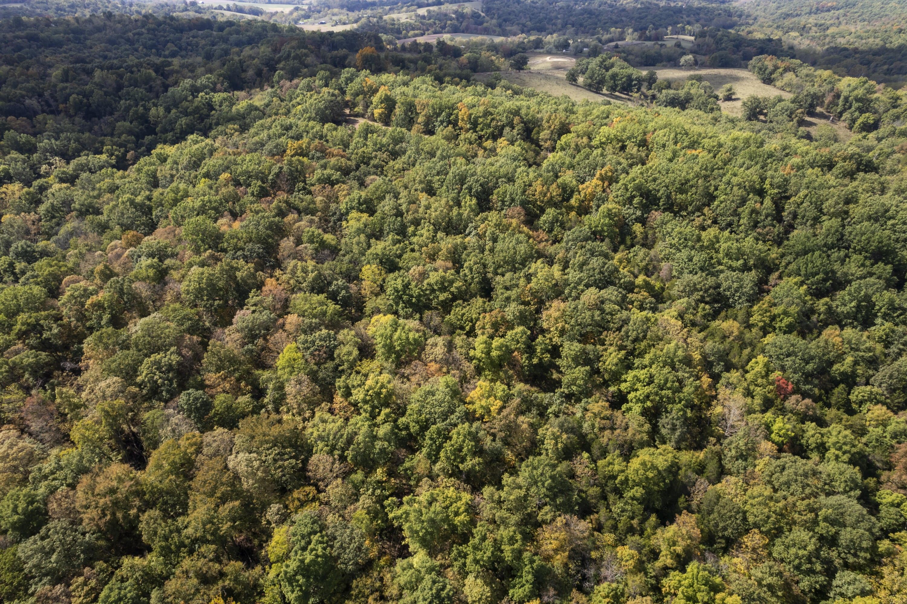 Dry Ridge, Grant County, KY Farms and Ranches for sale Property ID