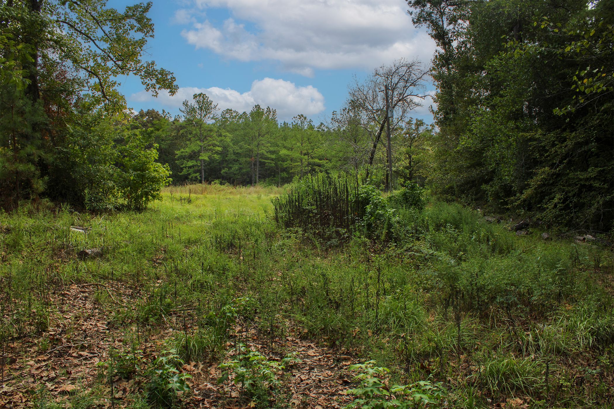 Cleveland, Liberty County, TX Undeveloped Land, Homesites for sale