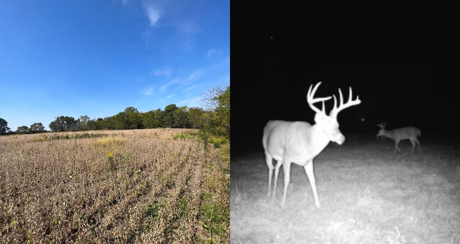 Herrick, Shelby County, IL Recreational Property, Timberland Property