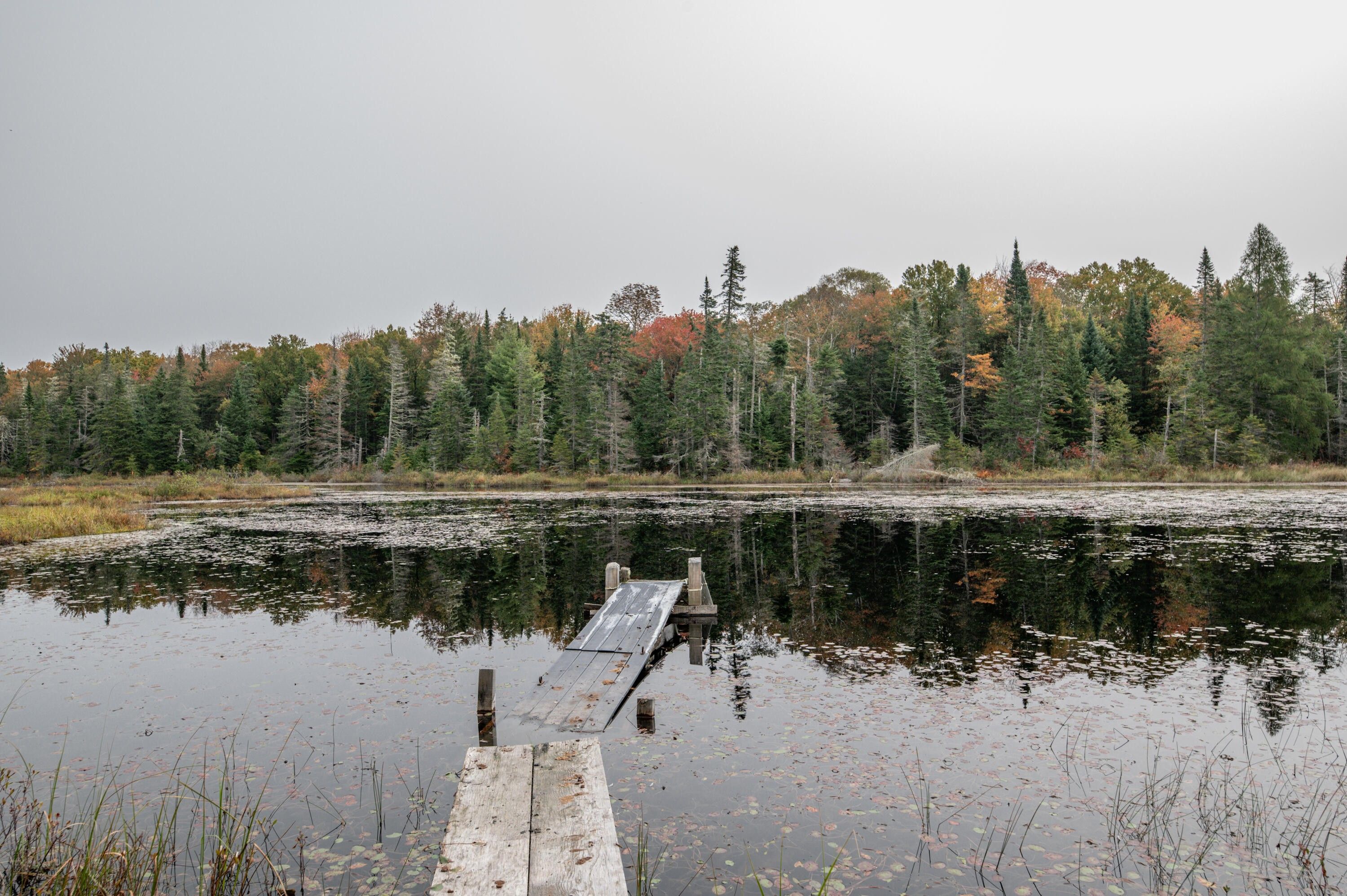 Wellington, Piscataquis County, ME Undeveloped Land, Lakefront Property, Waterfront Property for