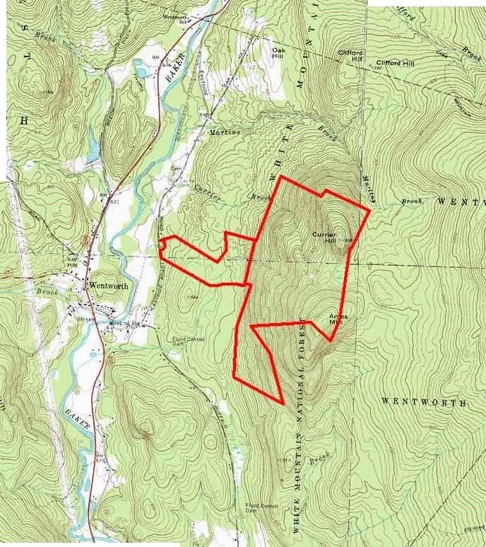 Wentworth, Grafton County, NH Undeveloped Land for sale Property ID