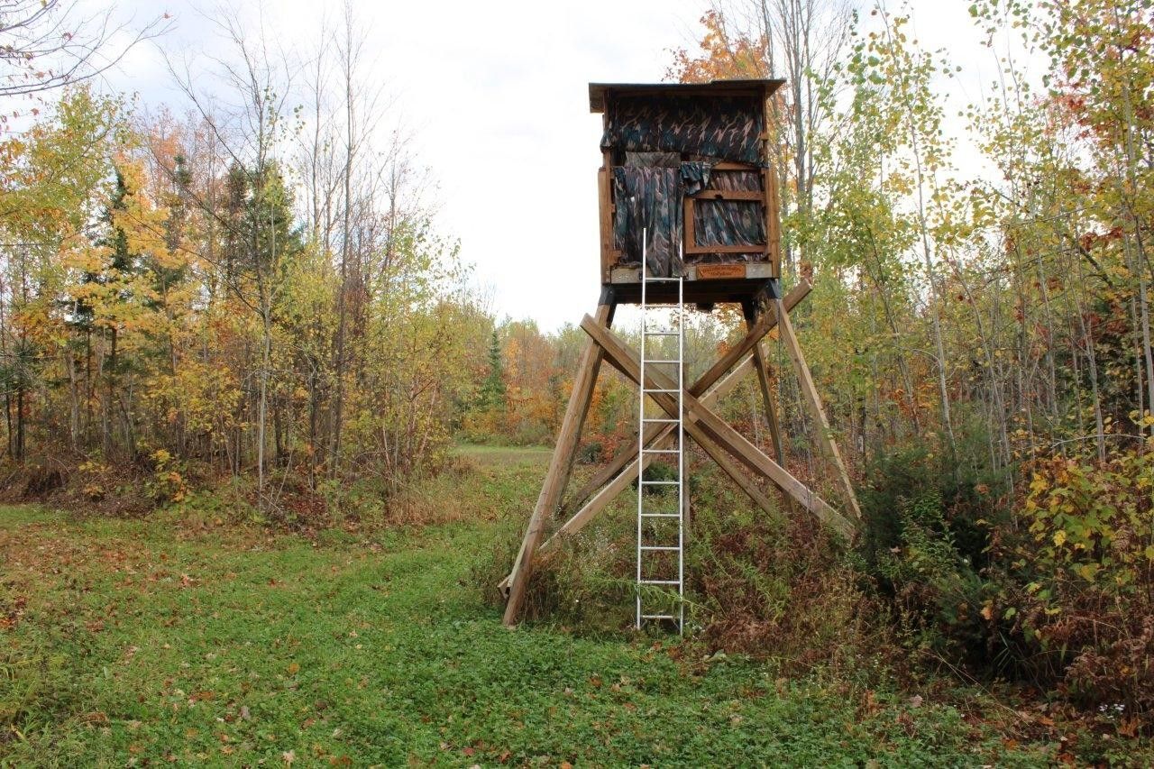 Fifield, Price County, WI Undeveloped Land for sale Property ID