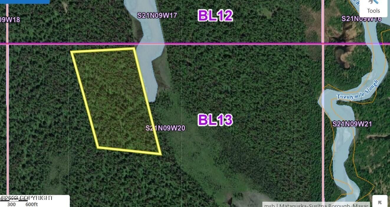 Skwentna, MatanuskaSusitna Borough, AK Undeveloped Land, Lakefront