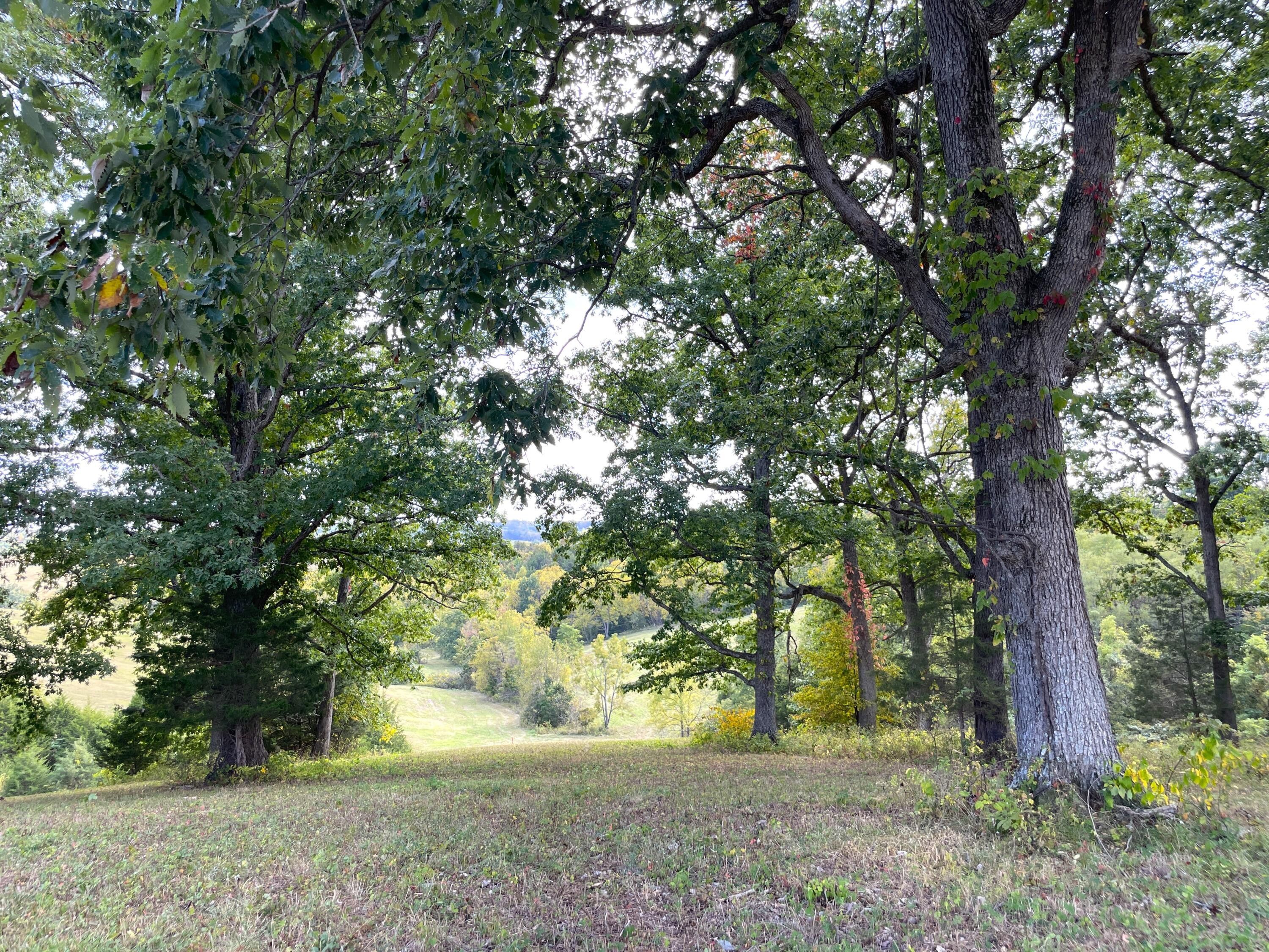 Corinth, Grant County, KY Undeveloped Land for sale Property ID