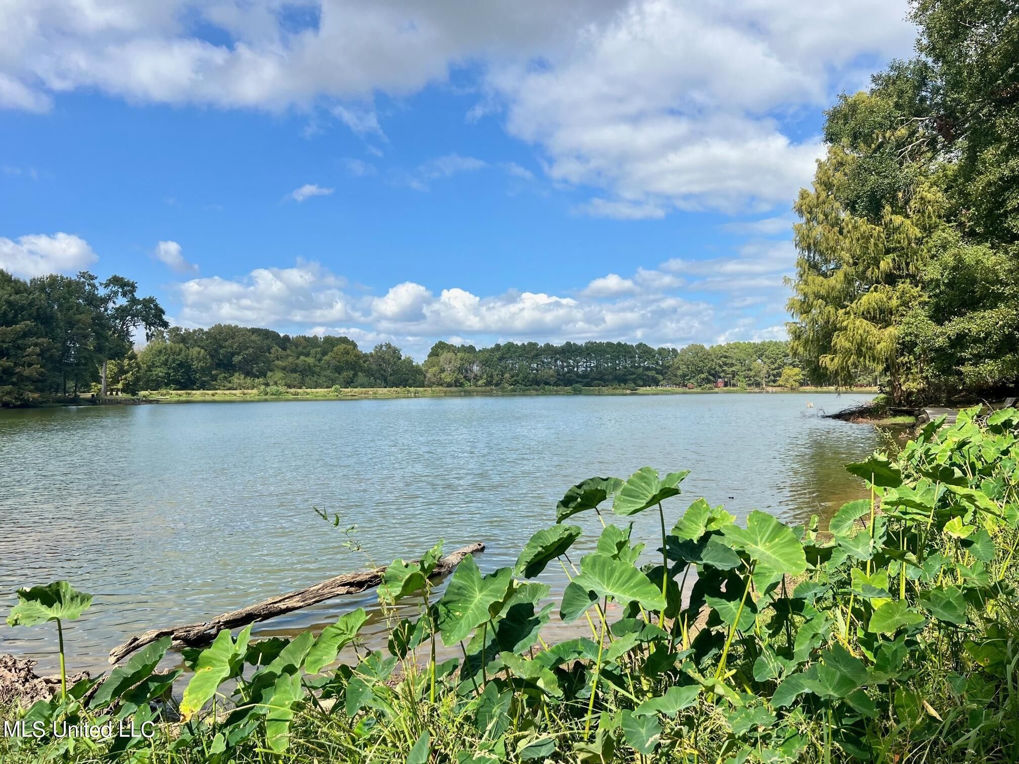Flora, Madison County, MS Undeveloped Land, Lakefront Property