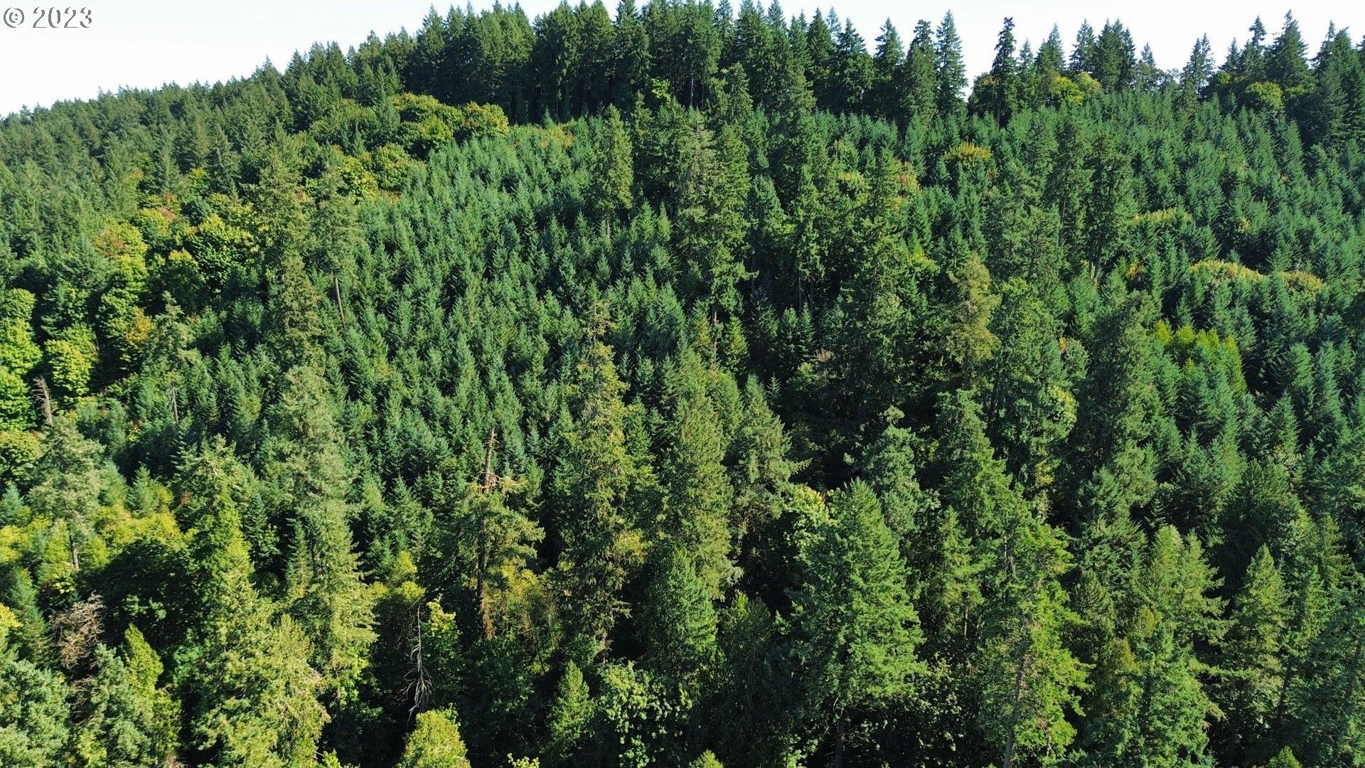 Dundee, Yamhill County, OR Undeveloped Land for sale Property ID