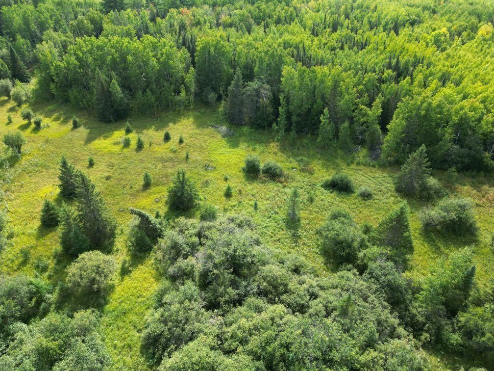 45 acres in Chisholm, MN, 55719 LandWatch