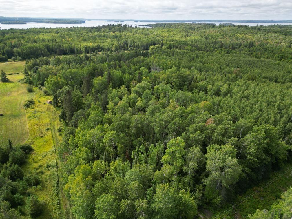 10 acres in Orr, MN, 55771 LandWatch