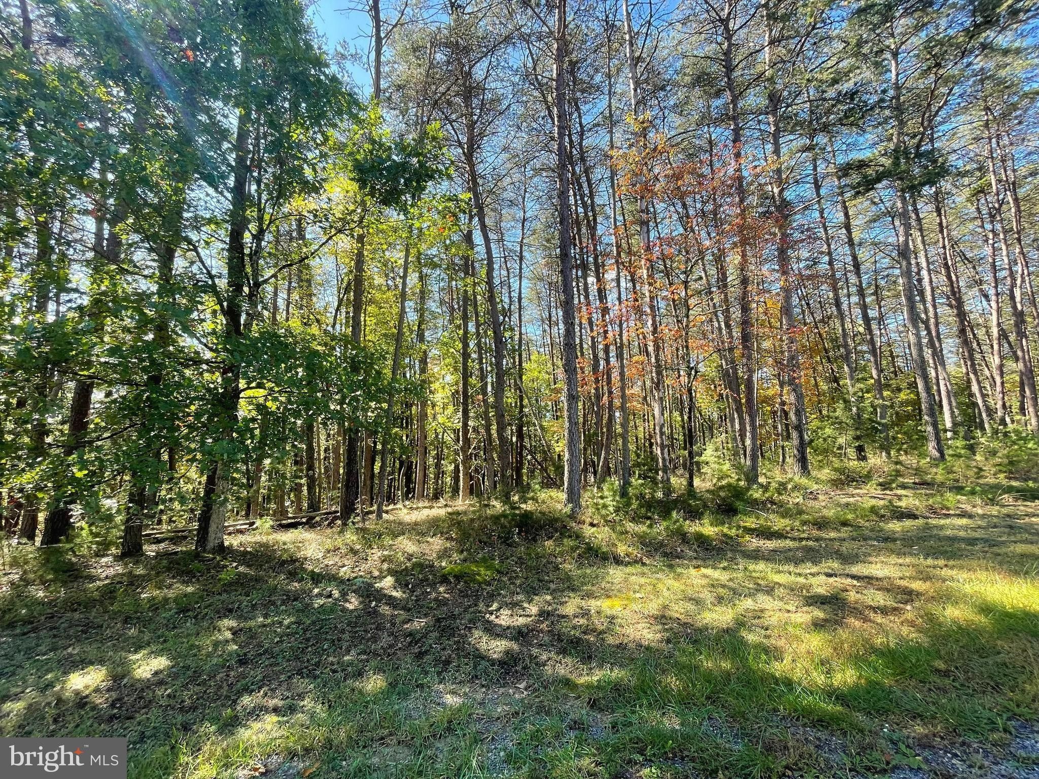 Romney, Hampshire County, WV Undeveloped Land, Homesites for sale Property ID 417930836 LandWatch