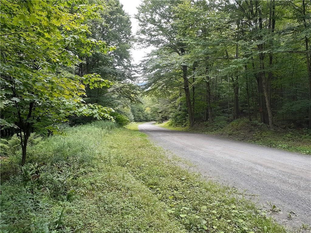 Fremont, Sullivan County, NY Undeveloped Land for sale Property ID
