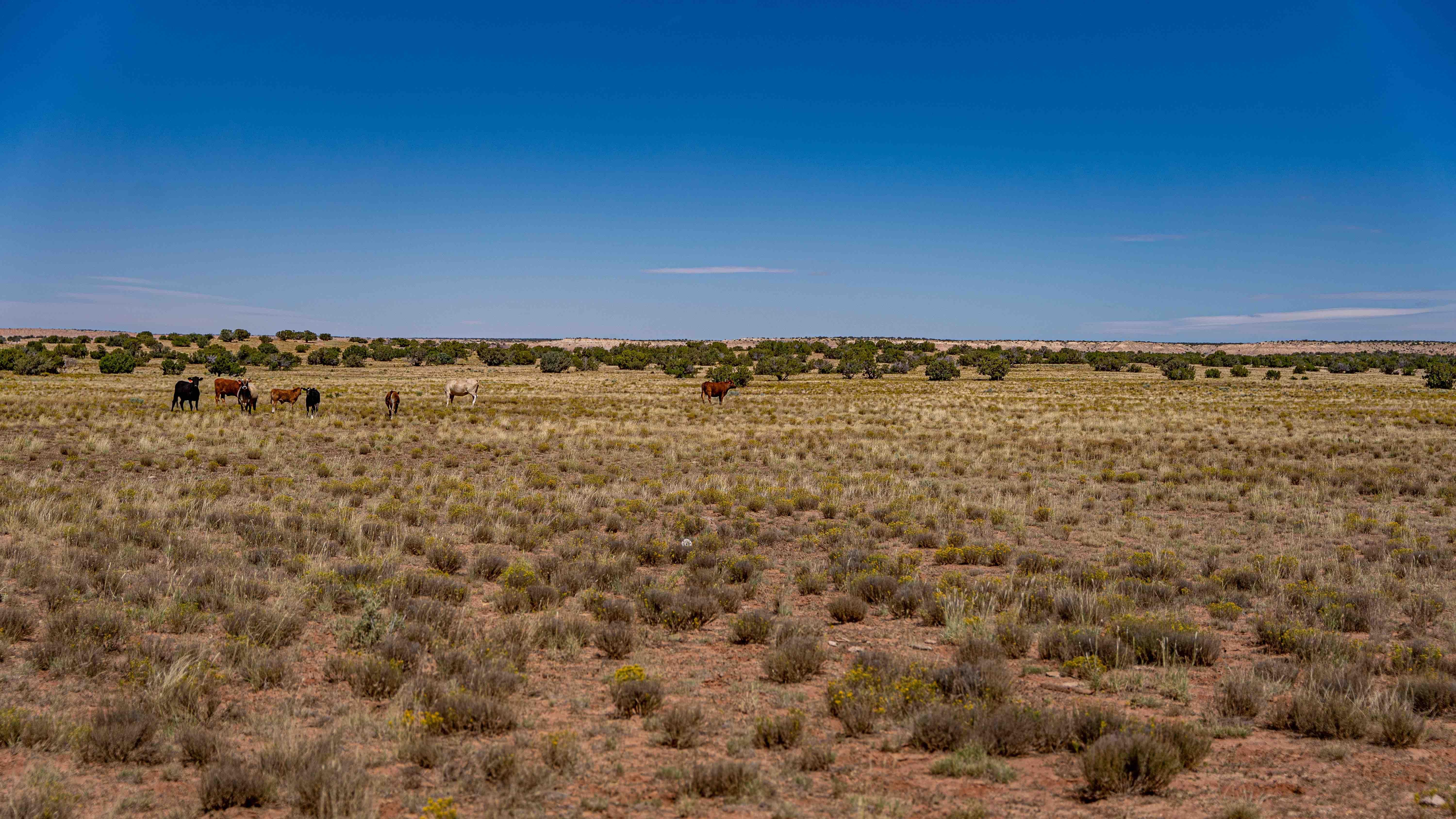 Chambers, Apache County, AZ Recreational Property, Undeveloped Land for