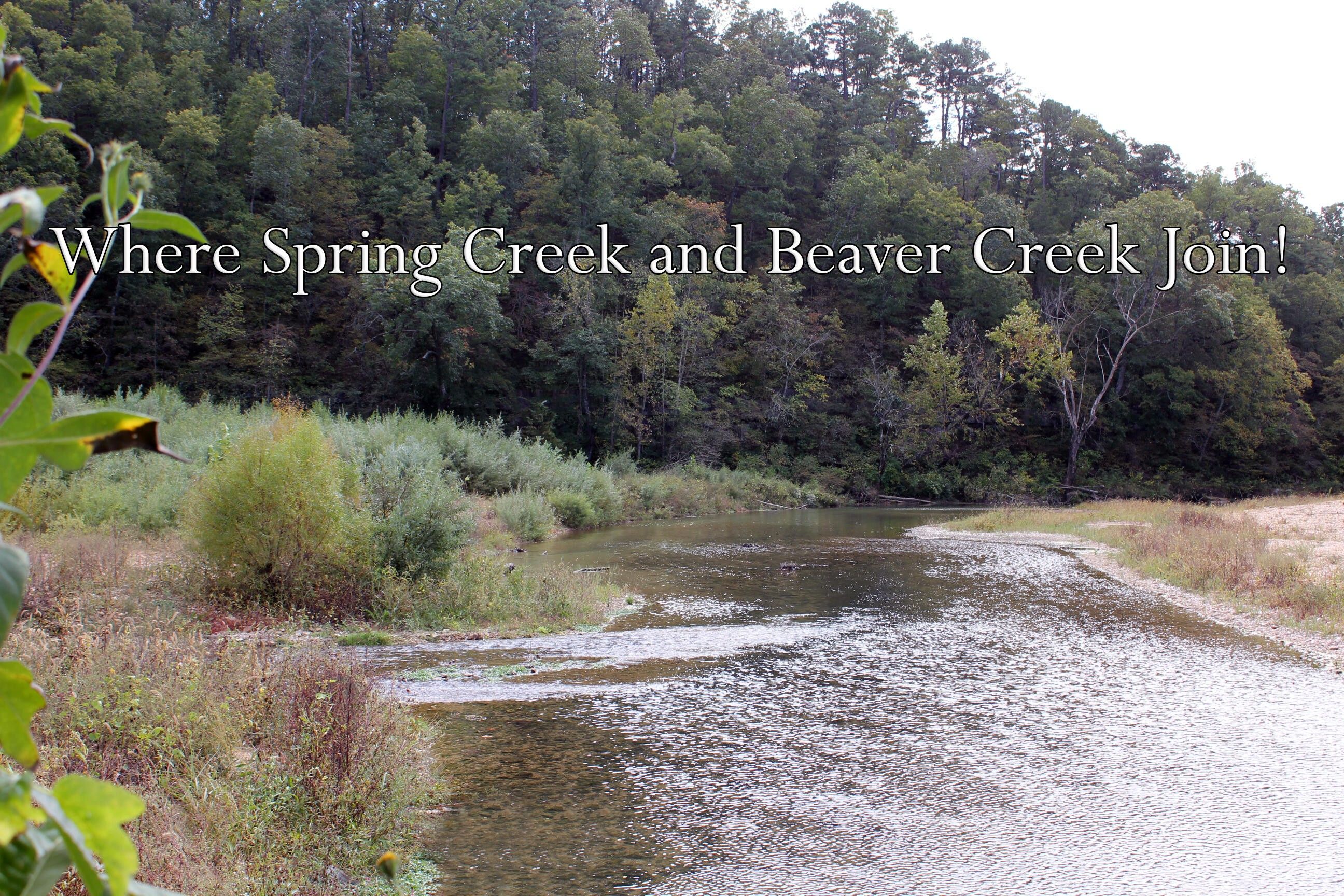 Ava, Douglas County, MO Farms and Ranches, Lakefront Property, Waterfront Property for sale