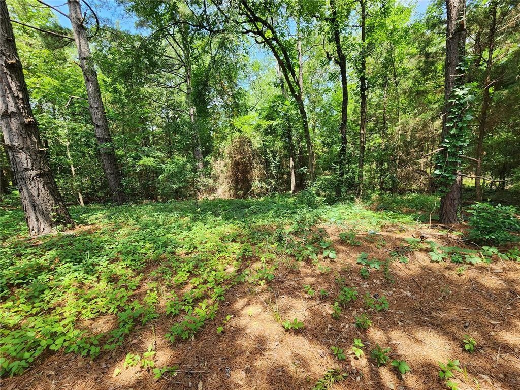 Quitman, Wood County, TX Undeveloped Land, Lakefront Property