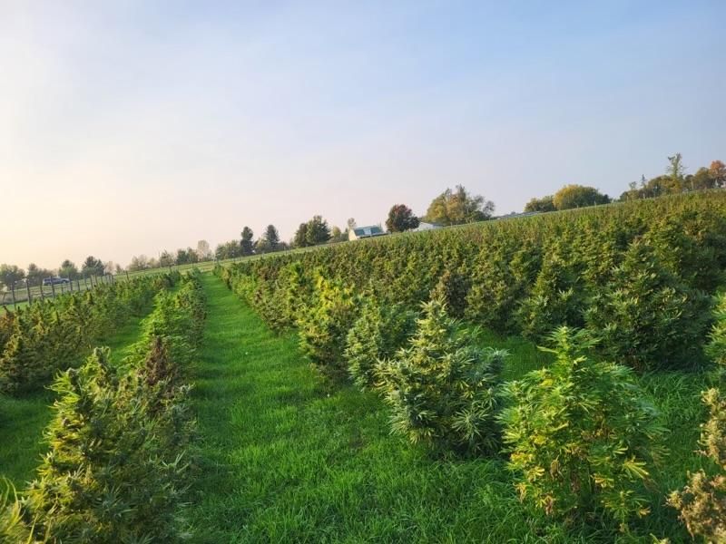 Norfolk, Saint Lawrence County, NY Farms and Ranches, Recreational