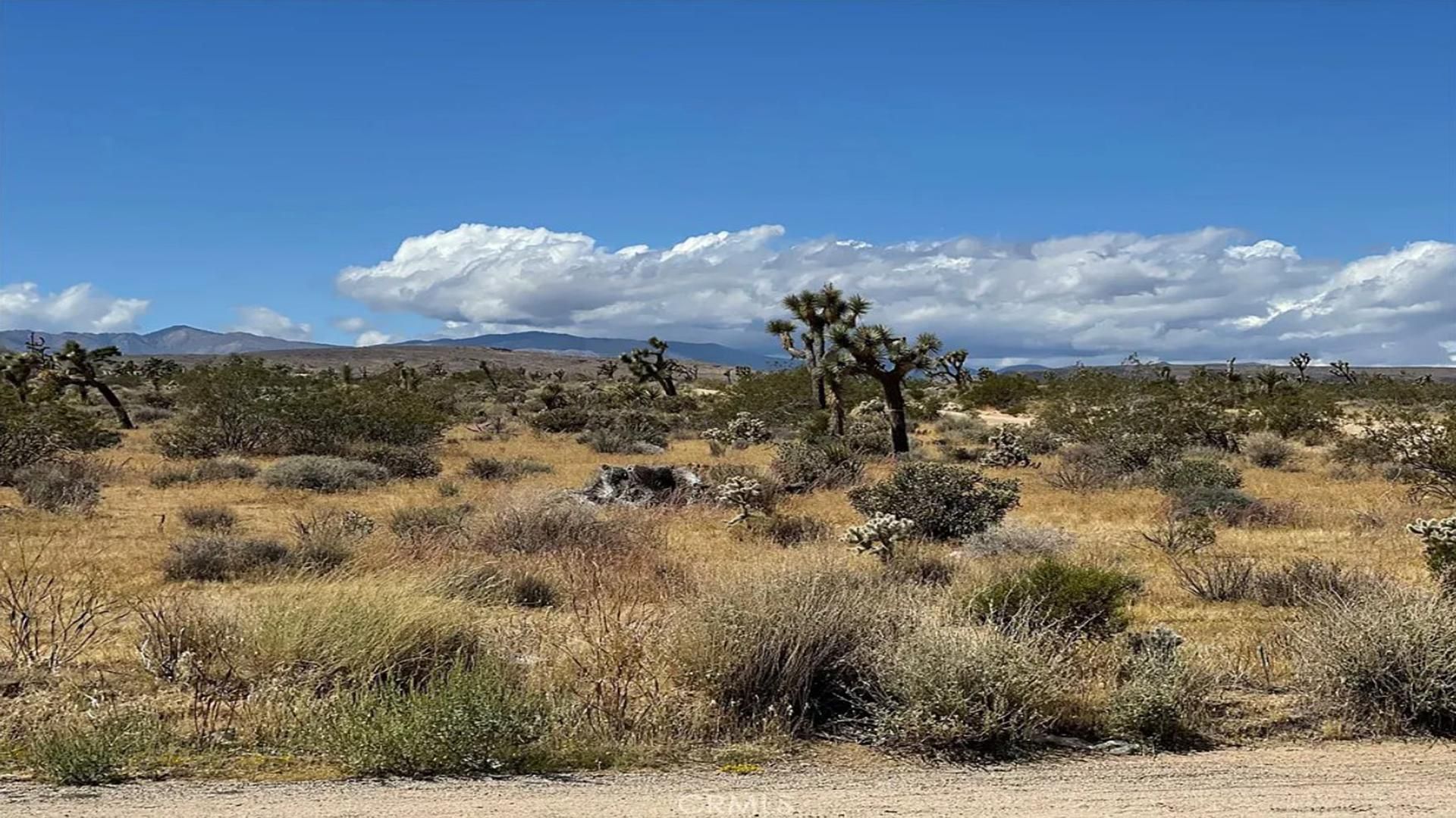 Yucca Valley, San Bernardino County, CA Undeveloped Land, Homesites for