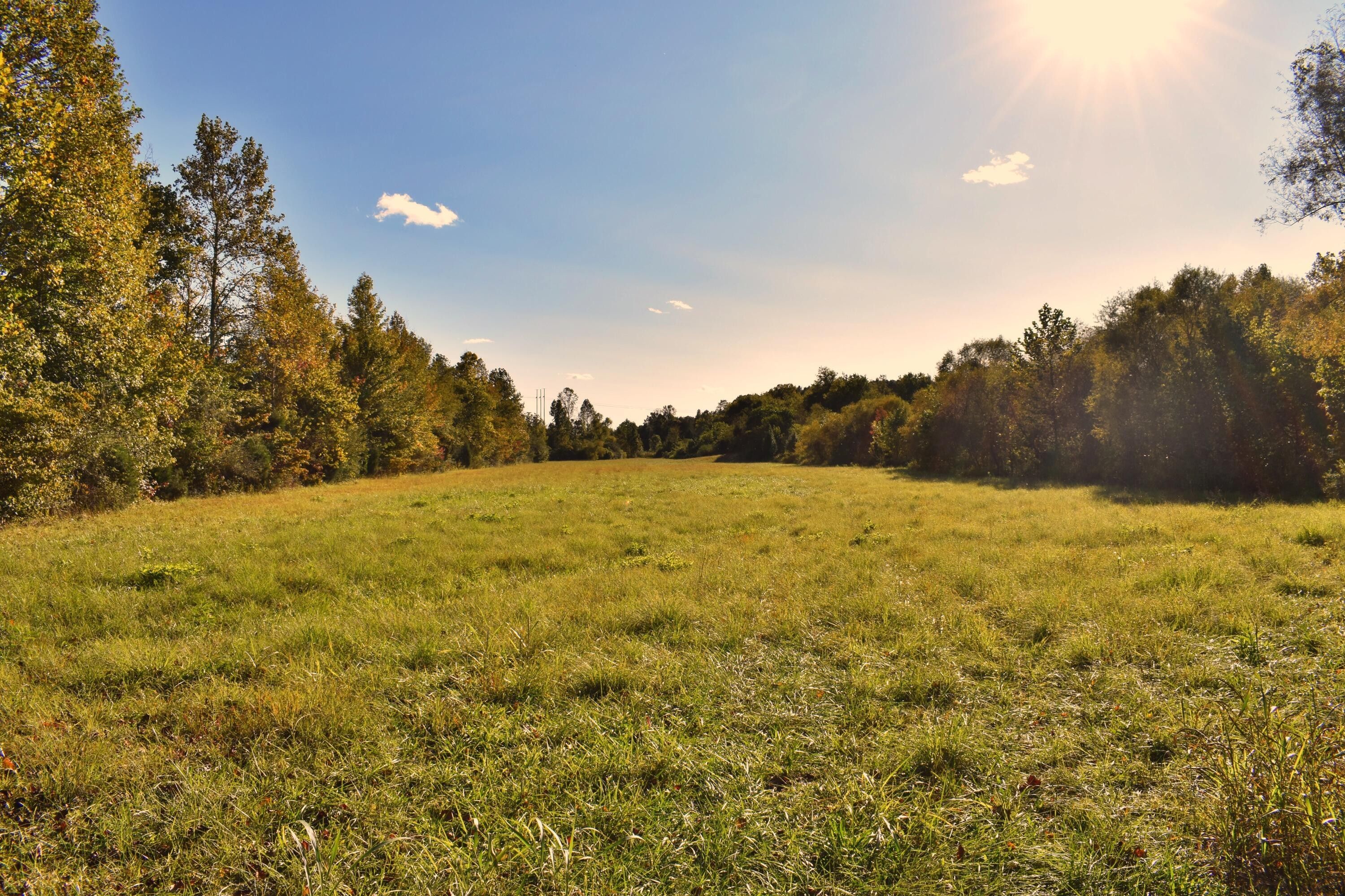 Spring City, Rhea County, TN Farms and Ranches for sale Property ID