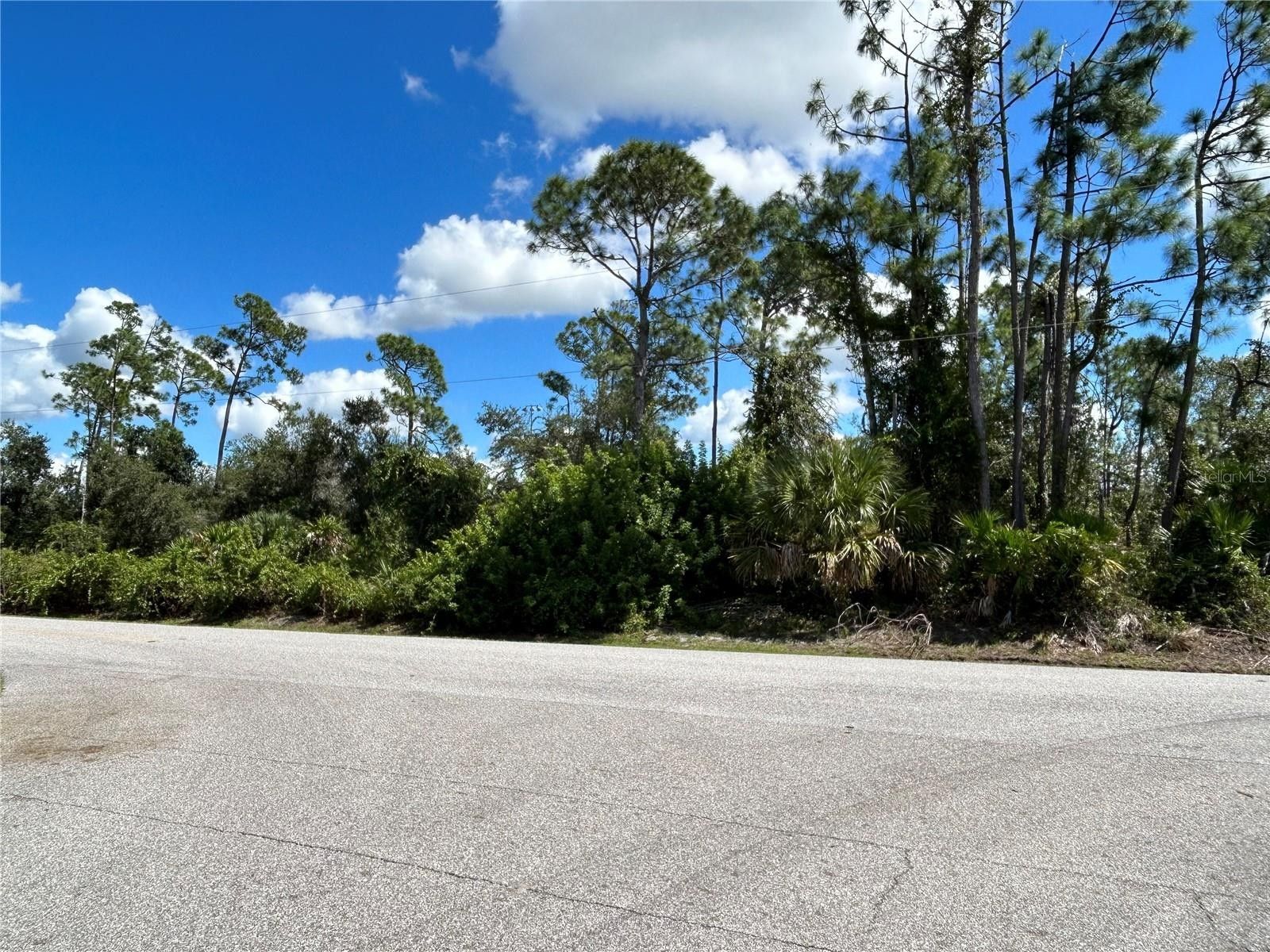 Port Charlotte, Charlotte County, FL Undeveloped Land, Lakefront