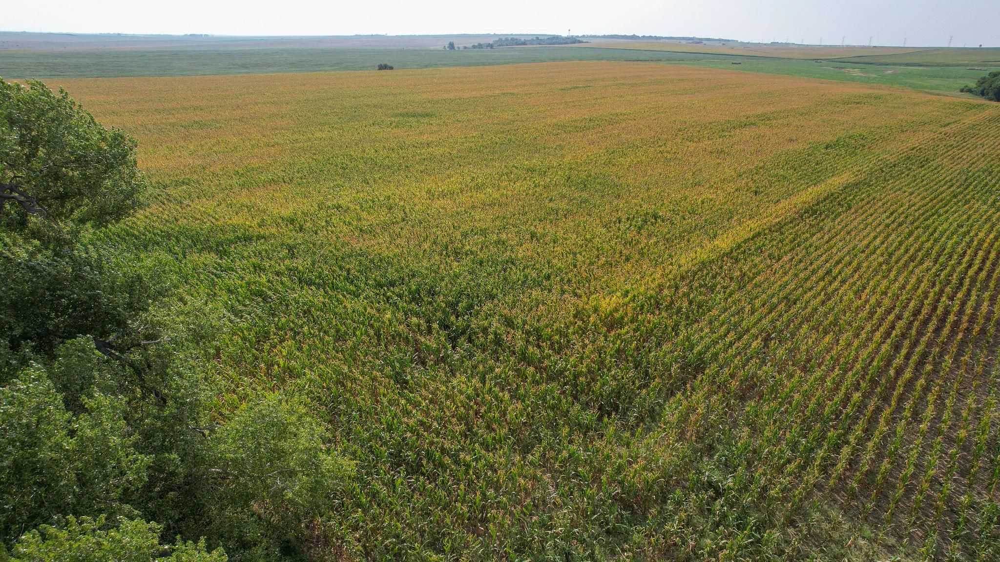 Pukwana, Brule County, SD Farms and Ranches, Hunting Property for sale