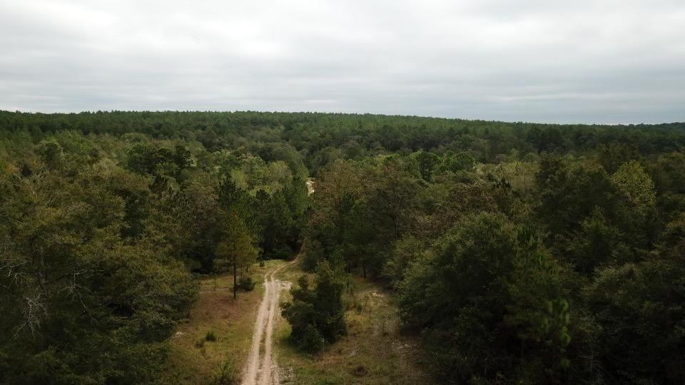 Citronelle, Mobile County, AL Recreational Property for sale Property