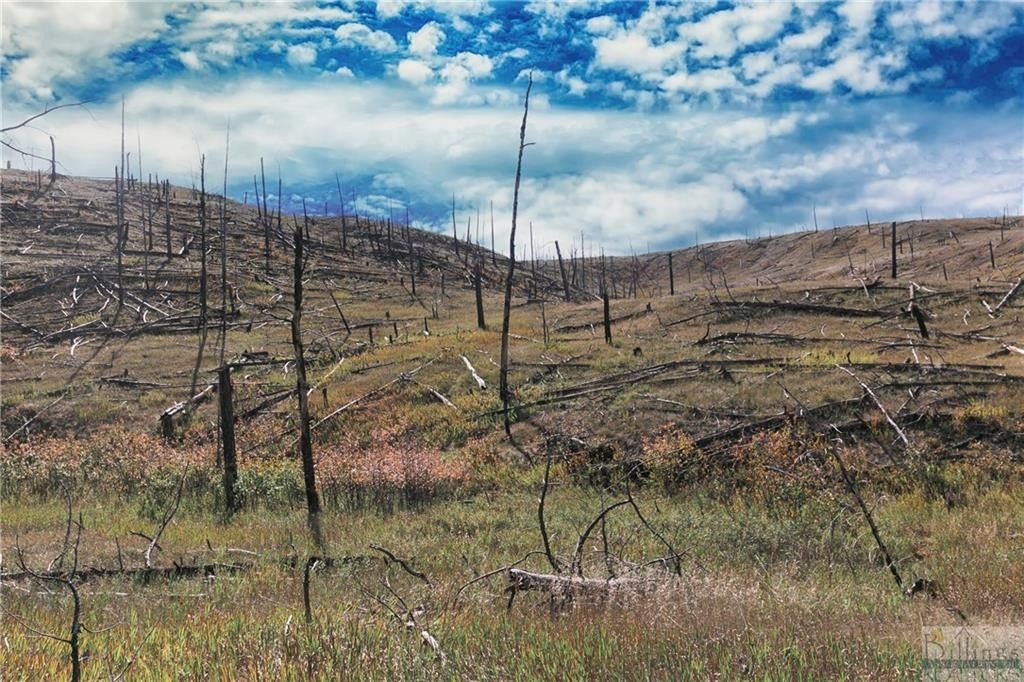 Roundup, Musselshell County, MT for sale Property ID 417939949 LandWatch