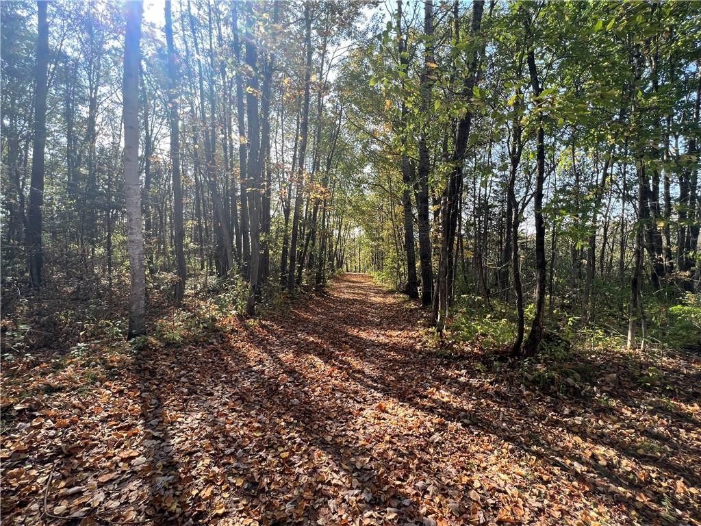 Cornell, Chippewa County, WI Undeveloped Land for sale Property ID