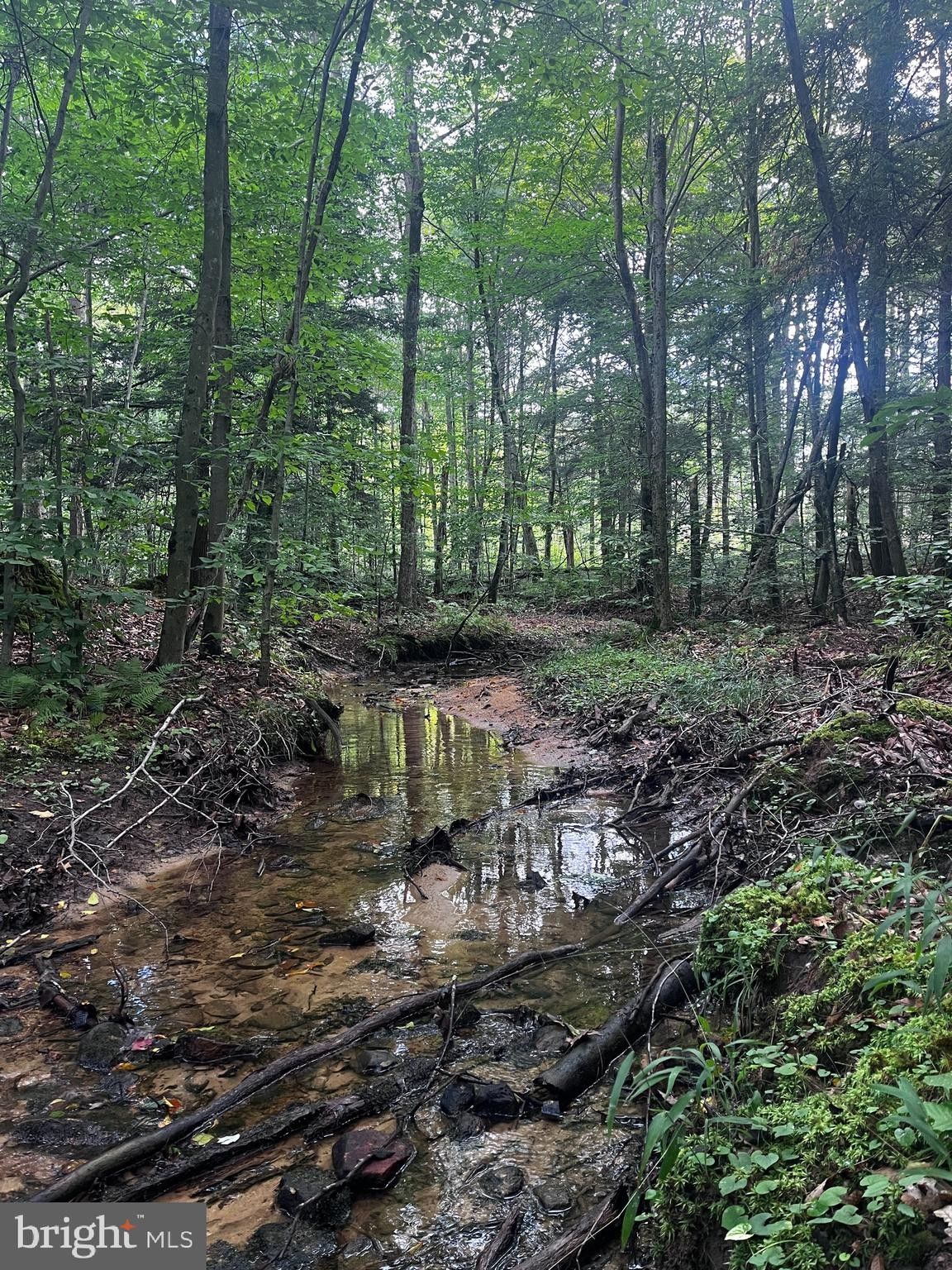Leeper, Clarion County, PA Undeveloped Land, Lakefront Property