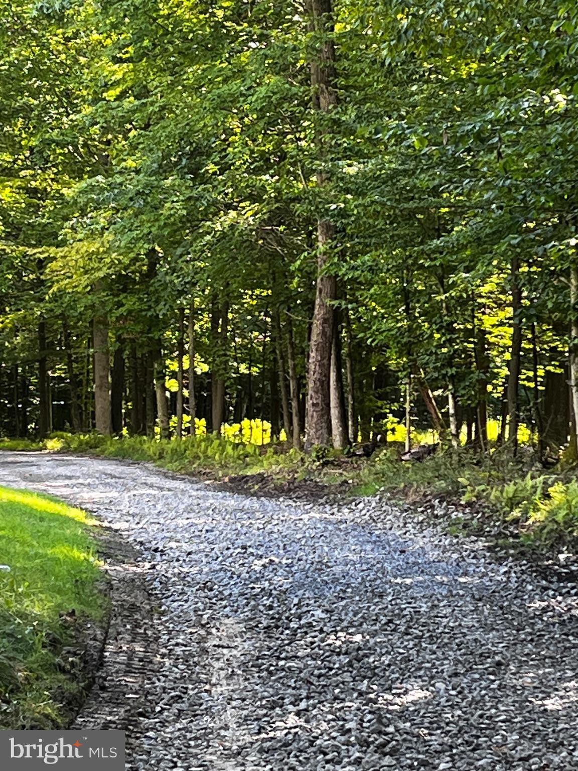 Leeper, Clarion County, PA Undeveloped Land, Lakefront Property