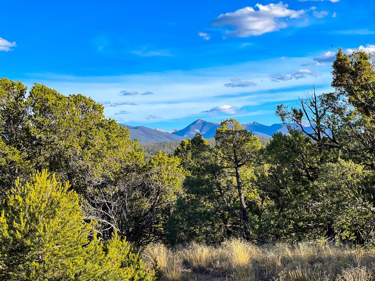85.56 acres in Chamisal, NM, 87553 LandWatch