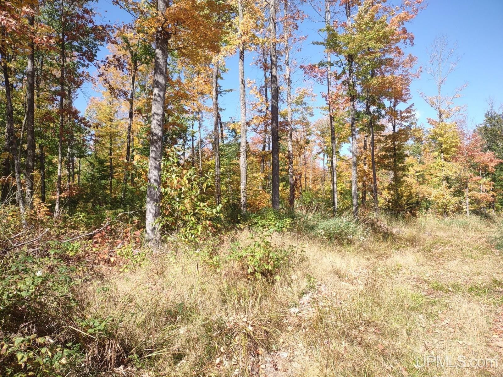 Pelkie, Baraga County, MI Undeveloped Land for sale Property ID