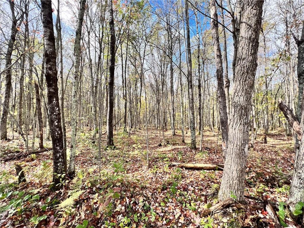 Hayward, Sawyer County, WI Undeveloped Land for sale Property ID