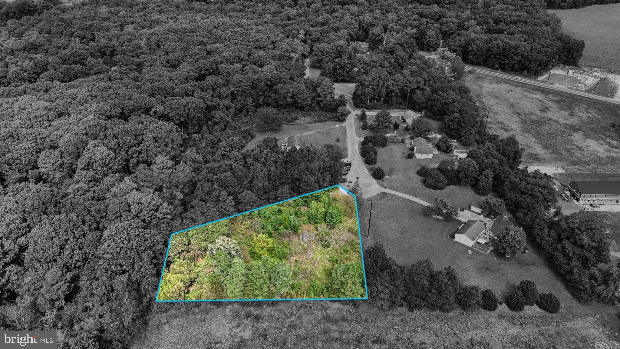 Federalsburg, Dorchester County, MD Undeveloped Land, Homesites for