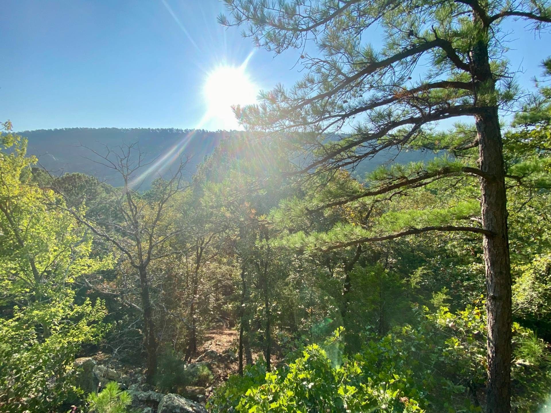 Daisy, Atoka County, OK Undeveloped Land, Homesites for sale Property ID 417942169 LandWatch