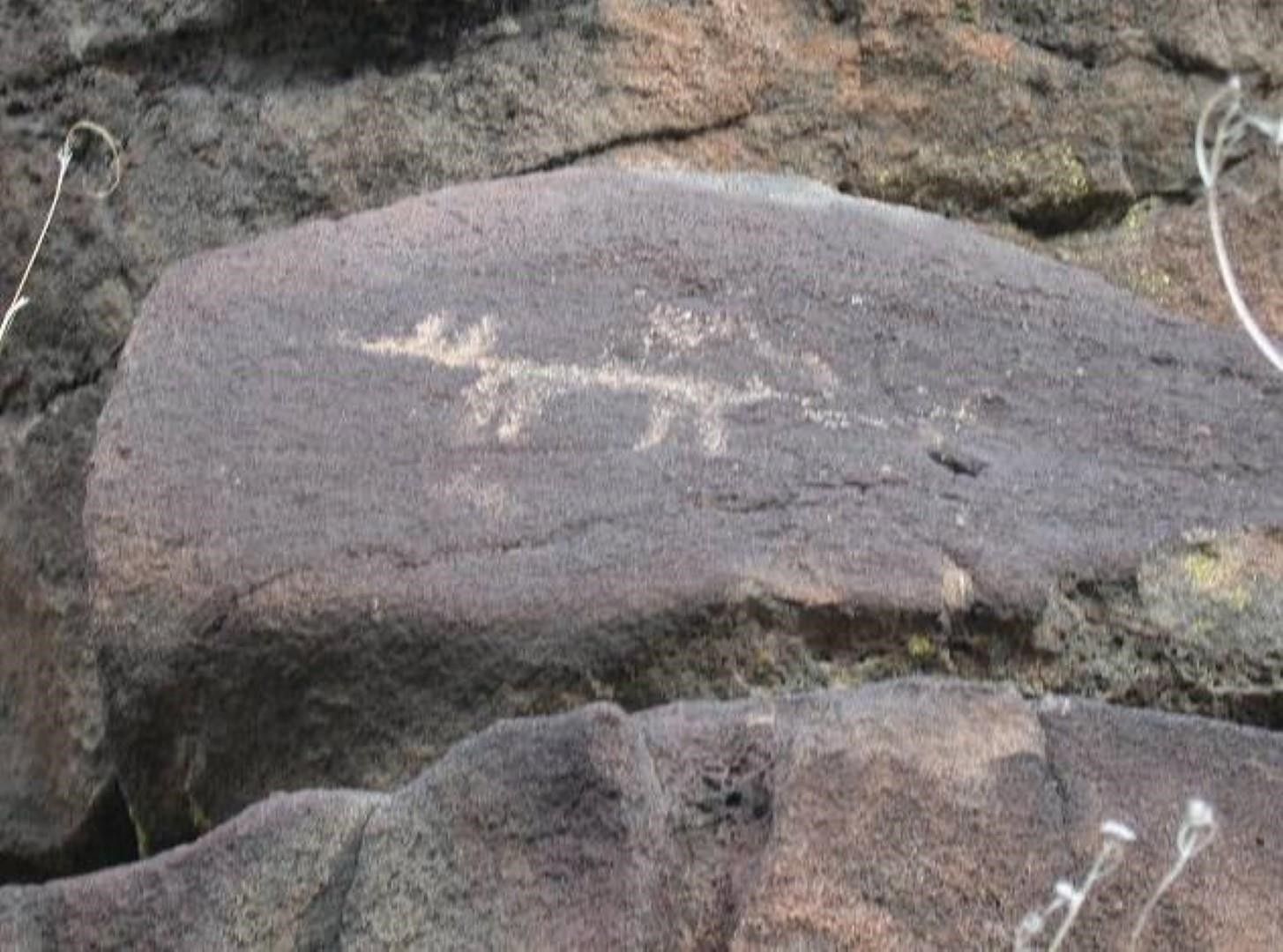 Carson, Taos County, NM Undeveloped Land for sale Property ID