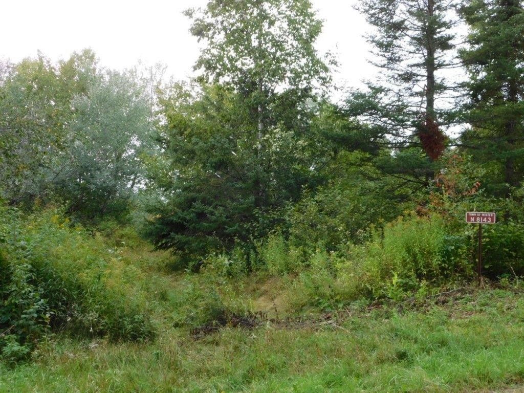 Winter, Sawyer County, WI Undeveloped Land for sale Property ID 417661237 LandWatch