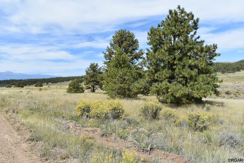 Westcliffe, Custer County, CO Undeveloped Land for sale Property ID