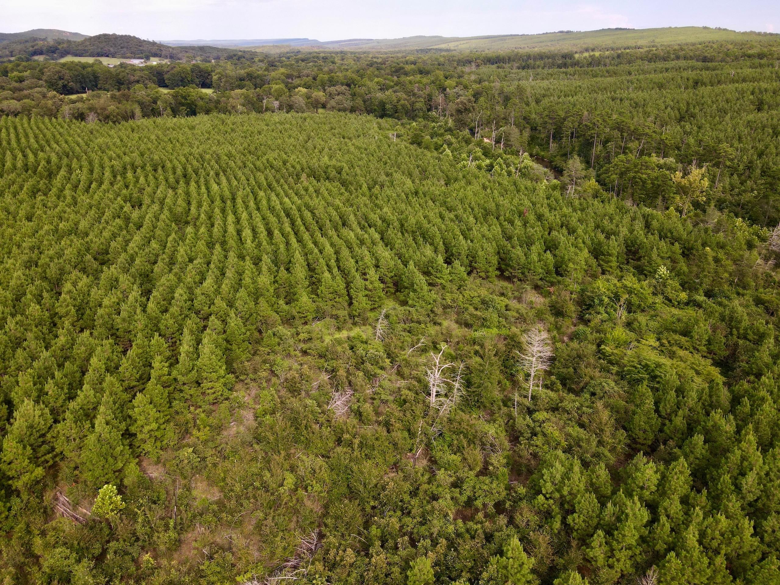 Casa, Perry County, AR Recreational Property, Timberland Property