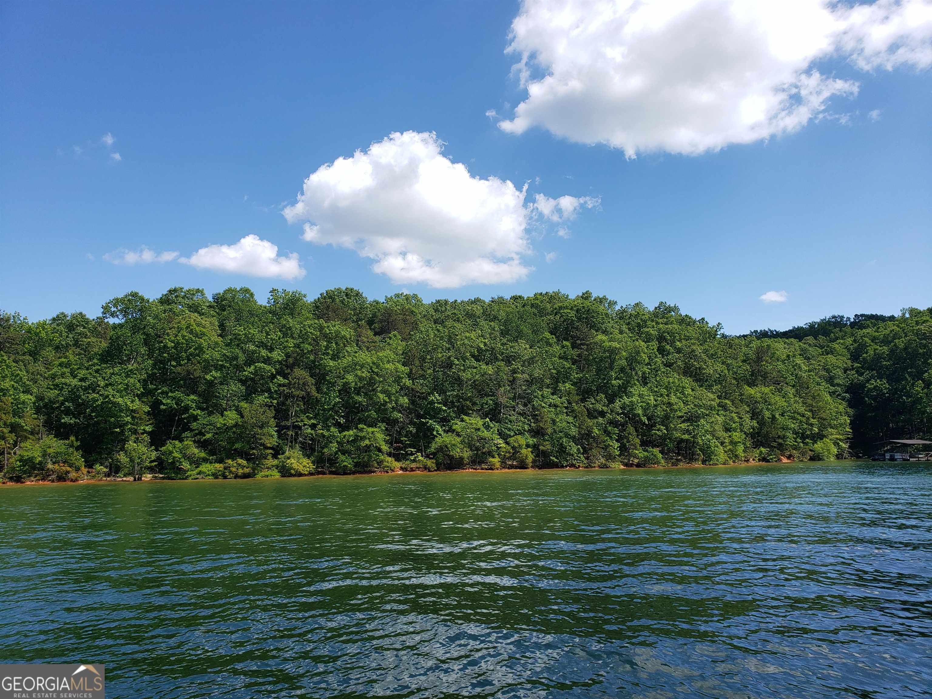 Hartwell, Hart County, GA Undeveloped Land, Lakefront Property