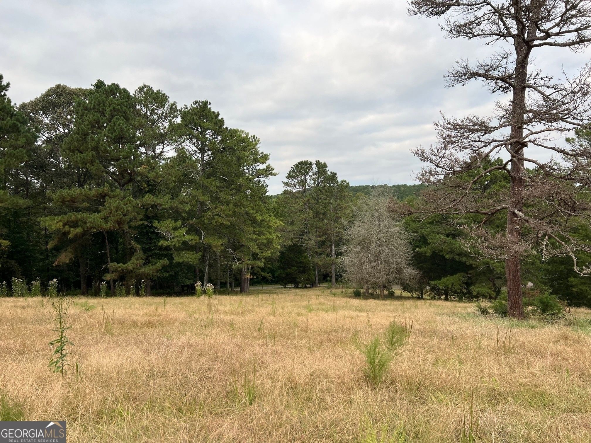 Monroe, Walton County, GA Undeveloped Land, Homesites for sale Property