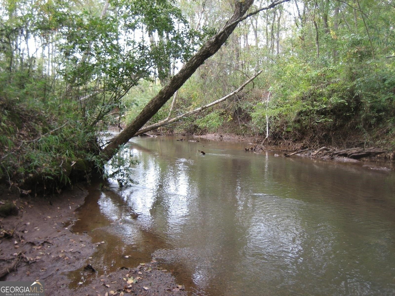Forsyth, Monroe County, GA Undeveloped Land, Lakefront Property