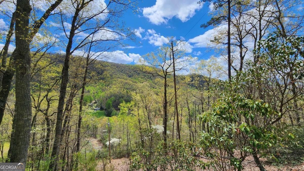 Franklin, Macon County, NC Undeveloped Land for sale Property ID