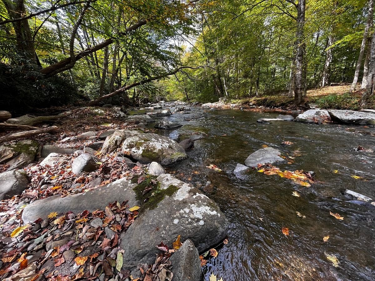 Bakersville, Mitchell County, NC Riverfront Property, Waterfront Property, Homesites for sale